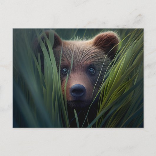 Postales bear herbe briefkaart (Voorkant)