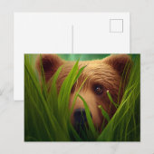 Postales bear herbe briefkaart (Voorkant / Achterkant)