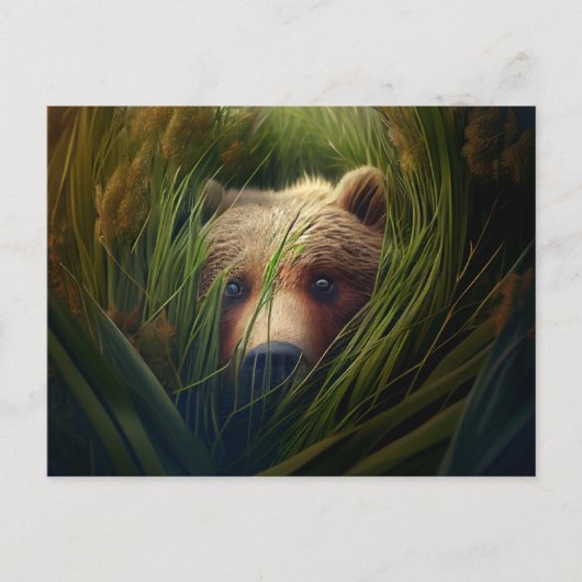 Postales bear herbe briefkaart (Voorkant)