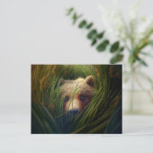 Postales bear herbe briefkaart (Staand voorkant)