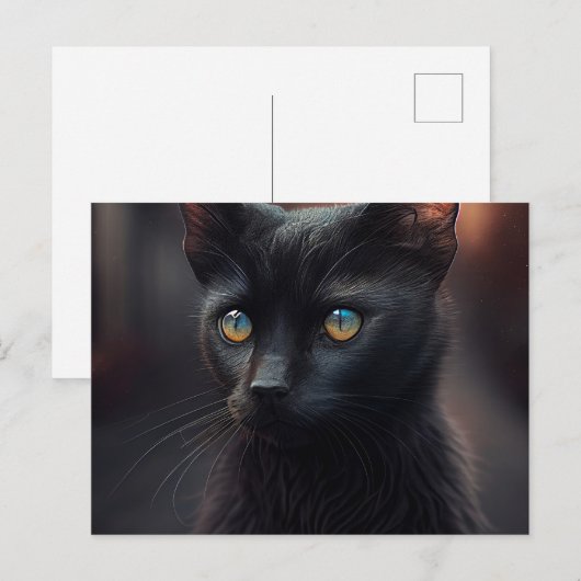 Postales Black Cat Briefkaart (Voorkant / Achterkant)