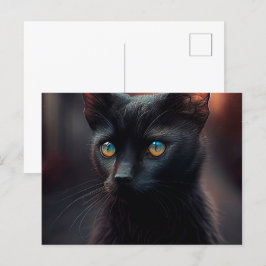 Postales Black Cat Briefkaart