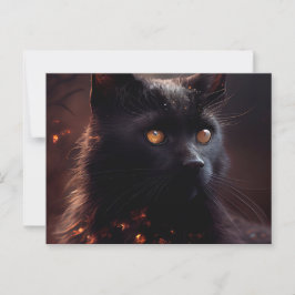 Postales Black Cat Briefkaart
