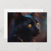 Postales Black Cat Briefkaart (Voorkant / Achterkant)