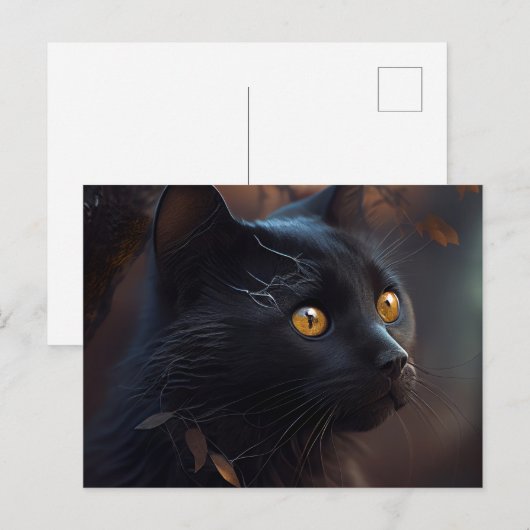 Postales Black Cat Briefkaart (Voorkant / Achterkant)