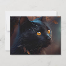 Postales Black Cat