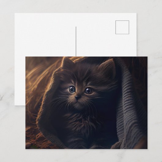 Postales Black Cat Briefkaart (Voorkant / Achterkant)