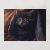 Postales Black Cat Briefkaart (Voorkant)