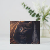 Postales Black Cat Briefkaart (Staand voorkant)