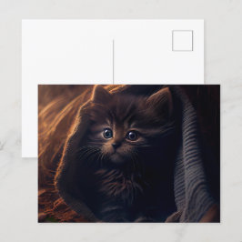 Postales Black Cat Briefkaart