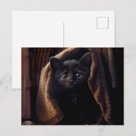 Postales Black Cat Briefkaart