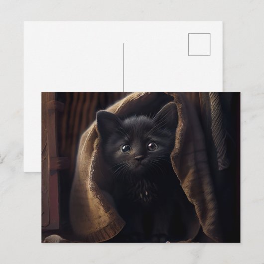 Postales Black Cat Briefkaart (Voorkant / Achterkant)