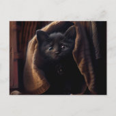 Postales Black Cat Briefkaart (Voorkant)