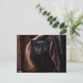 Postales Black Cat Briefkaart (Staand voorkant)