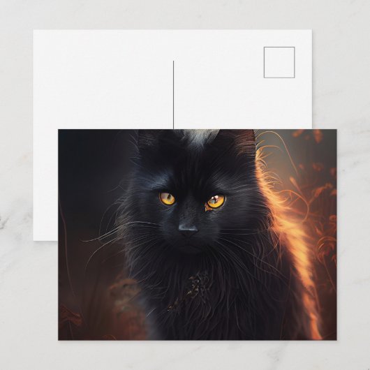 Postales Black Cat Briefkaart (Voorkant / Achterkant)