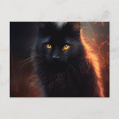 Postales Black Cat Briefkaart (Voorkant)