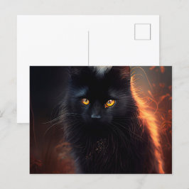 Postales Black Cat Briefkaart