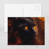Postales Black Cat Briefkaart (Voorkant / Achterkant)