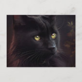 Postales Black Cat Briefkaart (Voorkant)