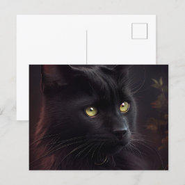 Postales Black Cat Briefkaart