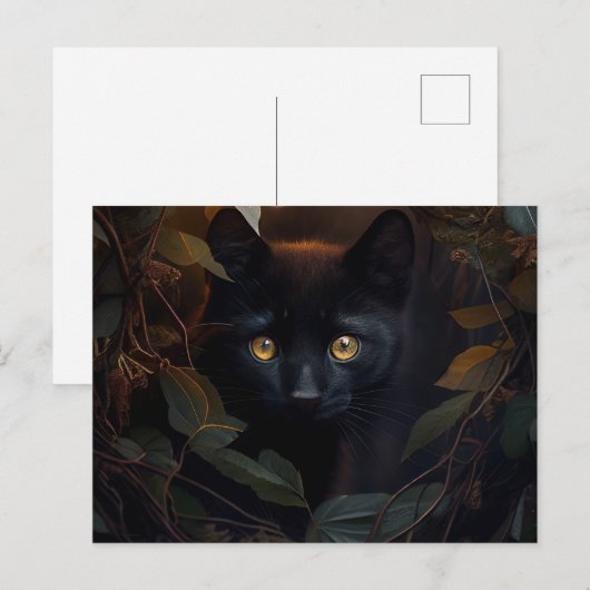 Postales Black Cat Briefkaart (Voorkant / Achterkant)
