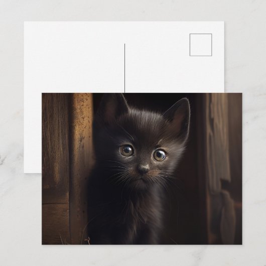 Postales Black Cat Briefkaart (Voorkant / Achterkant)