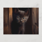 Postales Black Cat Briefkaart (Voorkant)