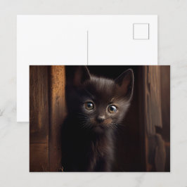 Postales Black Cat Briefkaart
