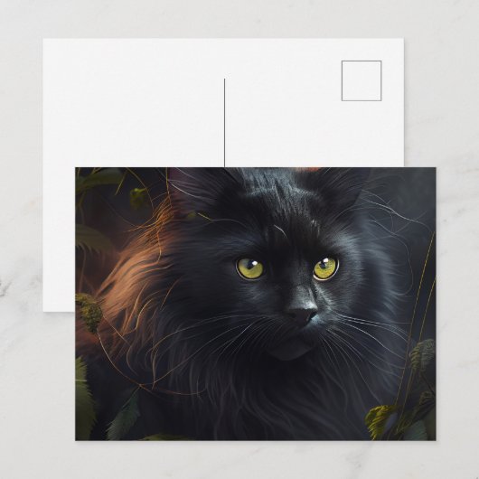 Postales Black Cat Briefkaart (Voorkant / Achterkant)