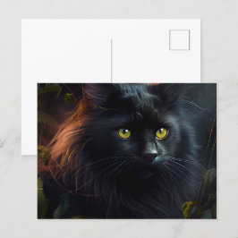 Postales Black Cat Briefkaart