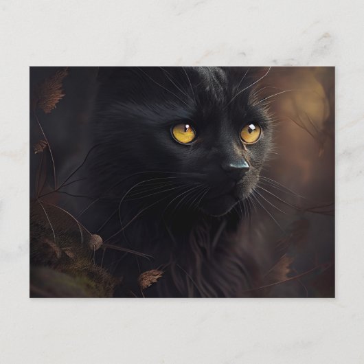Postales Black Cat Briefkaart (Voorkant)