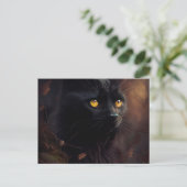 Postales Black Cat Briefkaart (Staand voorkant)