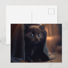 Postales Black Cat Briefkaart