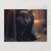 Postales Black Cat Briefkaart (Voorkant)