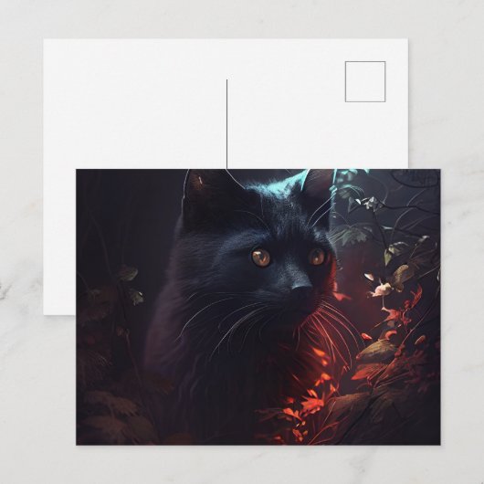 Postales Black Cat Briefkaart (Voorkant / Achterkant)