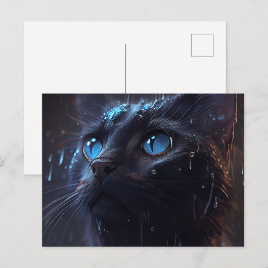 Postales Cat Diverse regen Briefkaart (Voorkant / Achterkant)