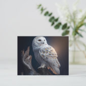 Postales snowy owl-kaarten briefkaart (Staand voorkant)