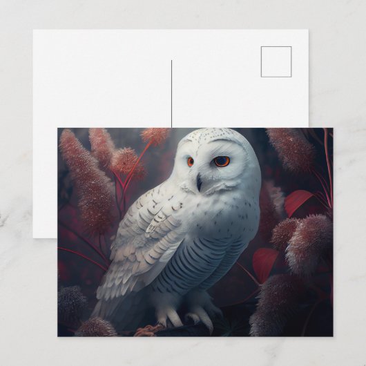 Postales snowy owl-kaarten briefkaart (Voorkant / Achterkant)