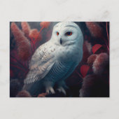 Postales snowy owl-kaarten briefkaart (Voorkant)