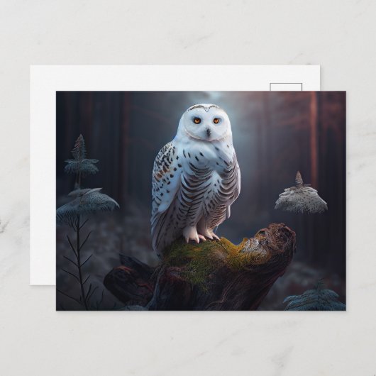 Postales snowy owl-kaarten briefkaart (Voorkant / Achterkant)