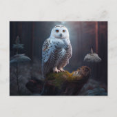 Postales snowy owl-kaarten briefkaart (Voorkant)