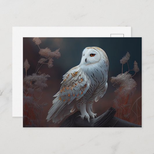 Postales snowy owl-kaarten briefkaart (Voorkant / Achterkant)