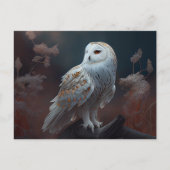 Postales snowy owl-kaarten briefkaart (Voorkant)
