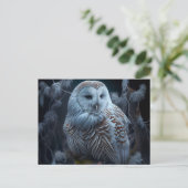 Postales snowy owl-kaarten briefkaart (Staand voorkant)