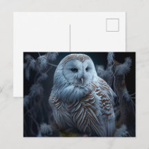 Postales snowy owl-kaarten