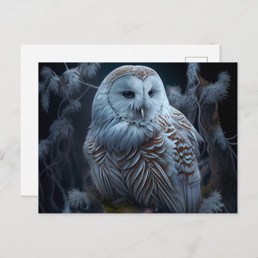 Postales snowy owl-kaarten briefkaart (Voorkant / Achterkant)