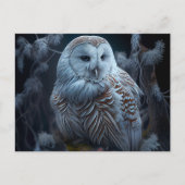 Postales snowy owl-kaarten briefkaart (Voorkant)