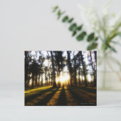 Postales Uruguay Briefkaart (Staand voorkant)