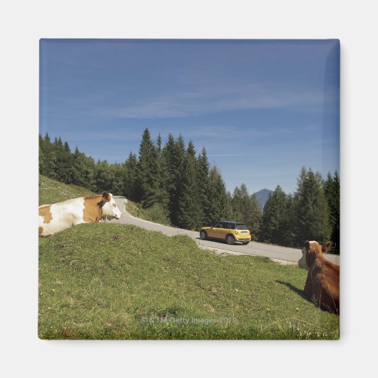 Postalm Road, Weissenbachtal Magneet (Voorkant)