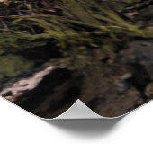 Postapocalyptische vernietiging | Verlaten gebouwe Poster (Hoek)